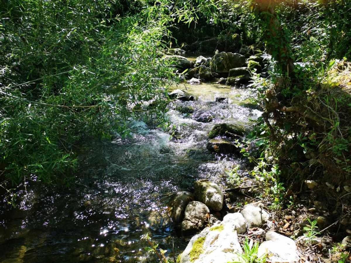 Molino Dei Ciliegi Splendida Villa In Umbria San Venanzo Экстерьер фото